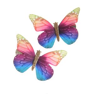 Agrafe par fluturi multicolori