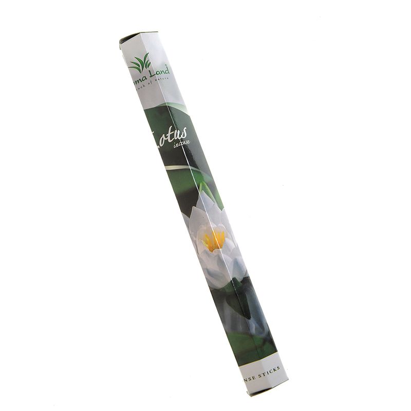 Betisoare142ECMBETE022CLASS