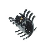 Cleste-mic-negru--pentru-par