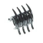 Cleste-mic-negru--pentru-par