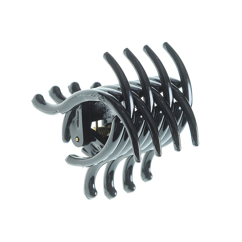Cleste-mic-negru--pentru-par