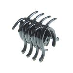 Cleste-mic-negru--pentru-par