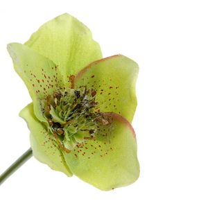 Floare decorativa verde 24 cm