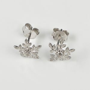 Cercei din argint flori de gheata
