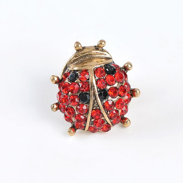 Brosa martisor buburuza