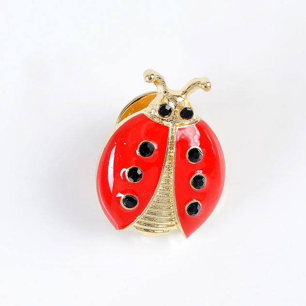 Brosa martisor buburuza rosie