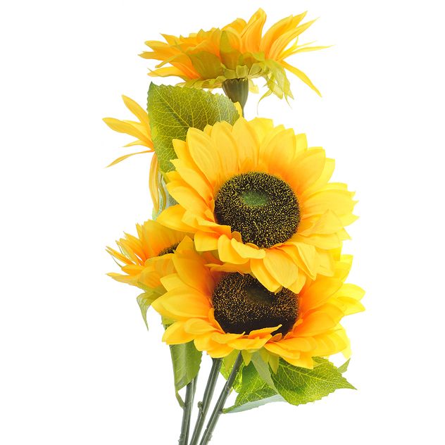 Buchet floarea soarelui 45 cm