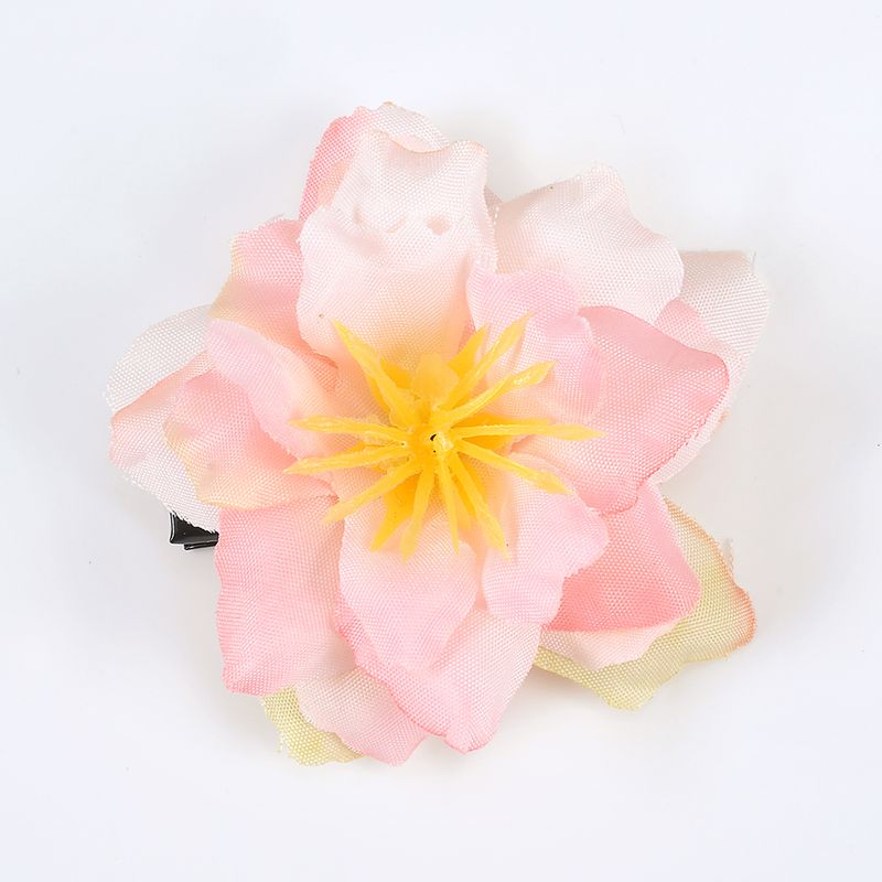 DSC_2929a