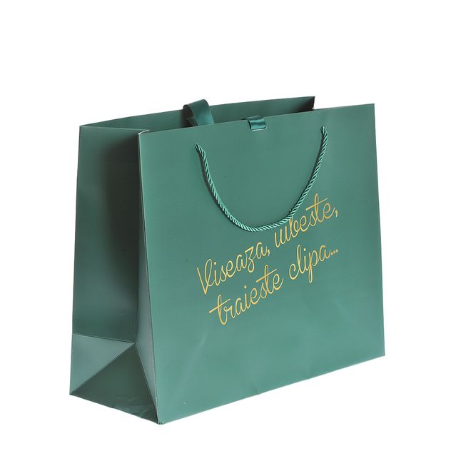 Punga de cadou verde cu mesaj 33 x 40 cm