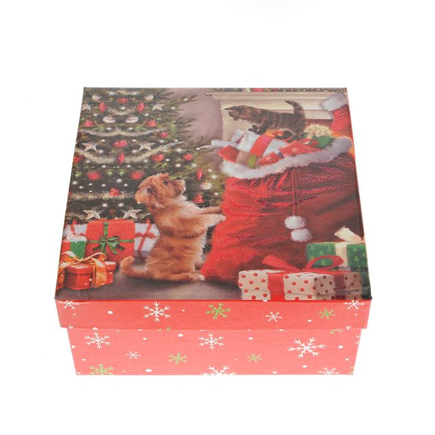 Cutie cadou de Craciun cu pisica si catel 20 cm