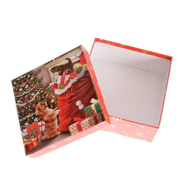 Cutie cadou de Craciun cu pisica si catel 20 cm