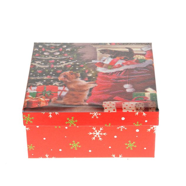 Cutie cadou de Craciun cu pisica si catel 18 cm