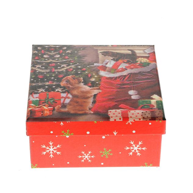 Cutie cadou de Craciun cu pisica si catel 15 cm