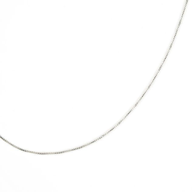 Lantisor delicat argintiu