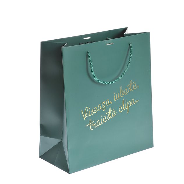 Punga de cadou verde cu mesaj 33 cm