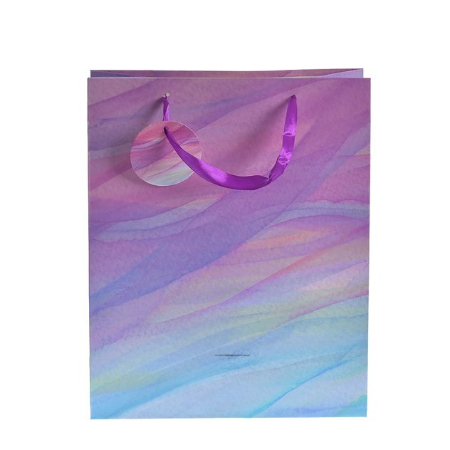 Punga de cadou multicolor 26 x 32 cm
