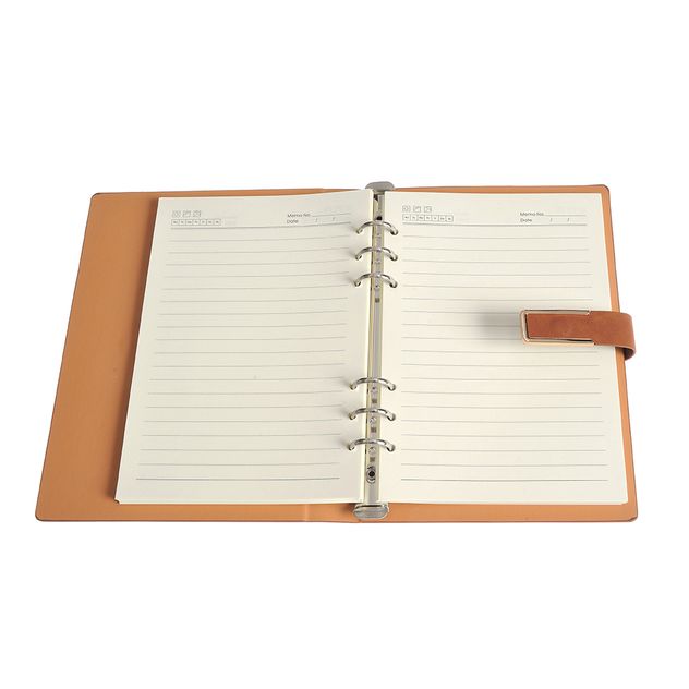 Agenda maro cu 100 de pagini