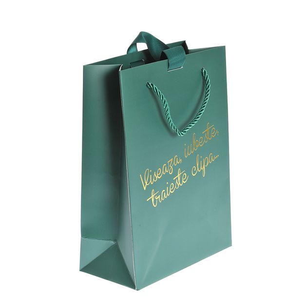 Punga de cadou verde cu mesaj 25 cm